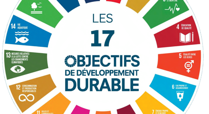  Les Objectifs de développement durable : cadre global et focus sur l’Objectif 9 